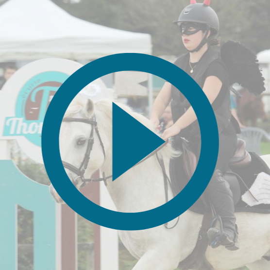 vlog concours équitation haras de la vaillantière