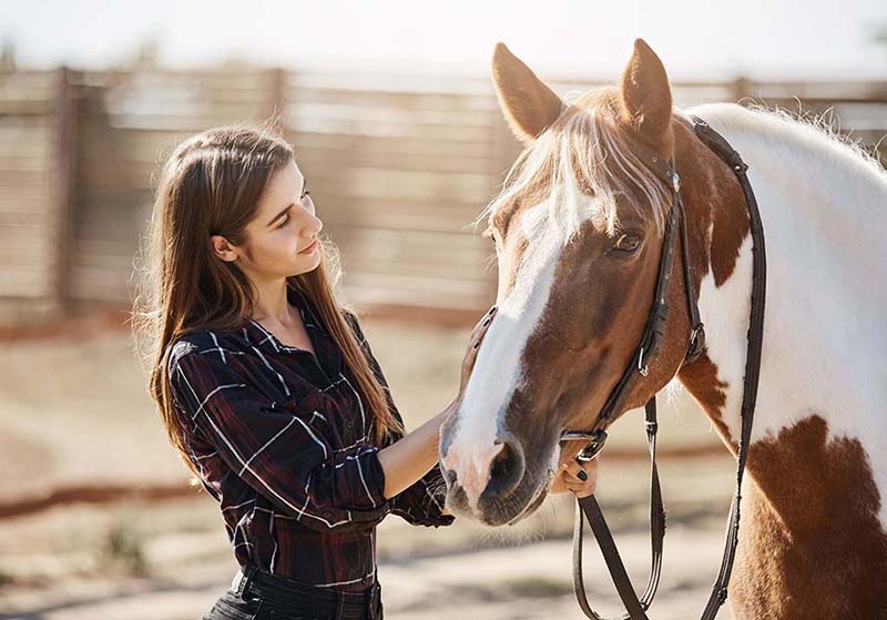 horse coaching nantes