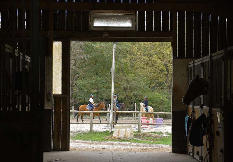 comité d'entreprise équitation