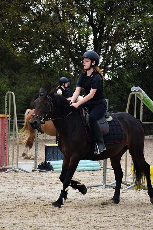 École d'équitation à Lyon: passage des galops 1 à 7