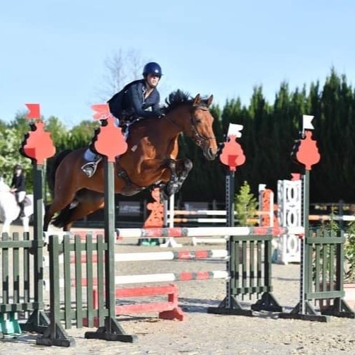 concours le mans équitation