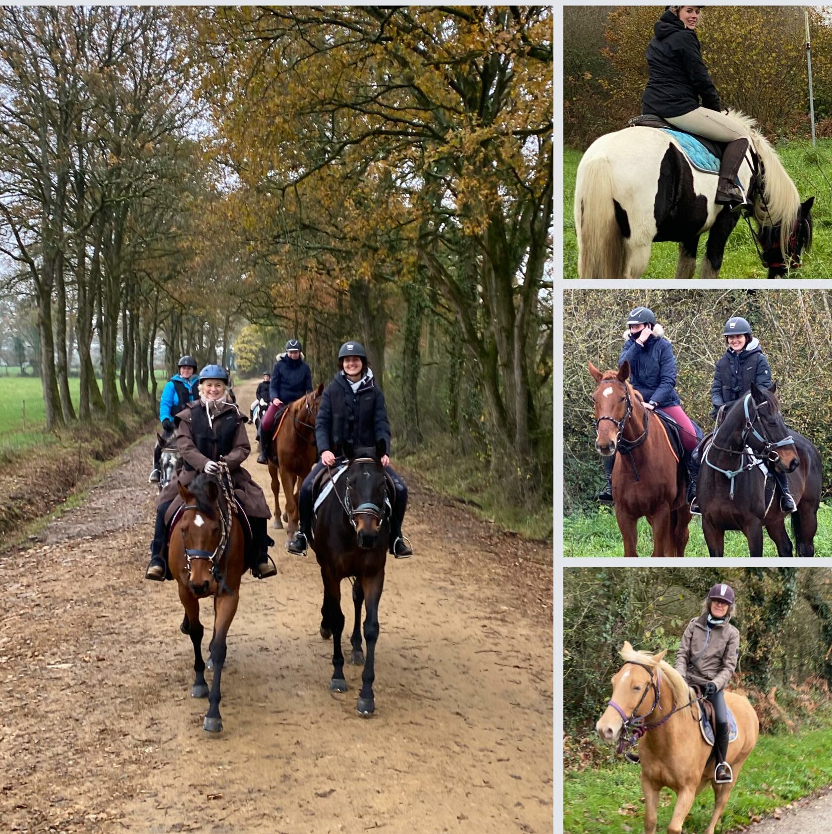 randonnée à cheval balade à cheval à nantes