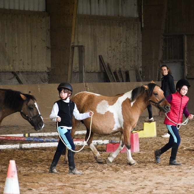 equifun équitation enfants à nantes