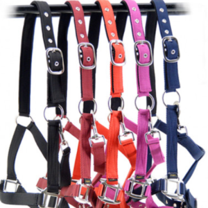 licol équitation en nylon