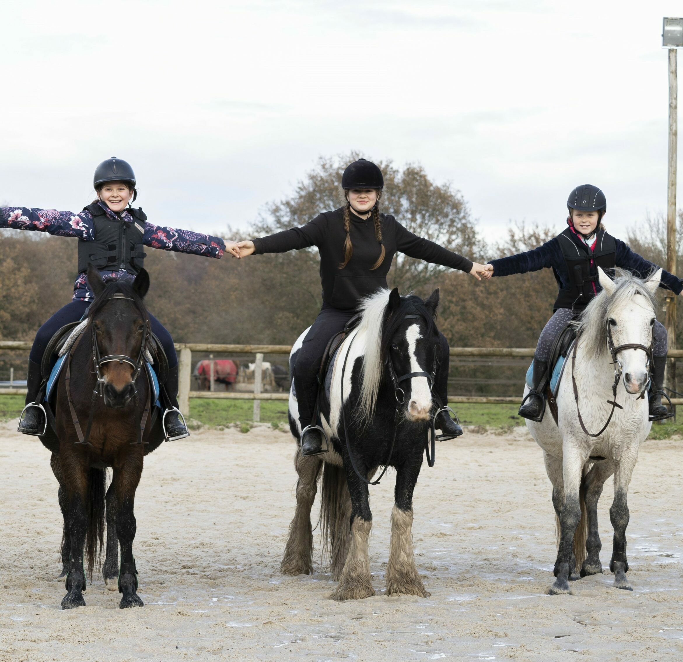 Comment choisir un club d’équitation à Nantes ?