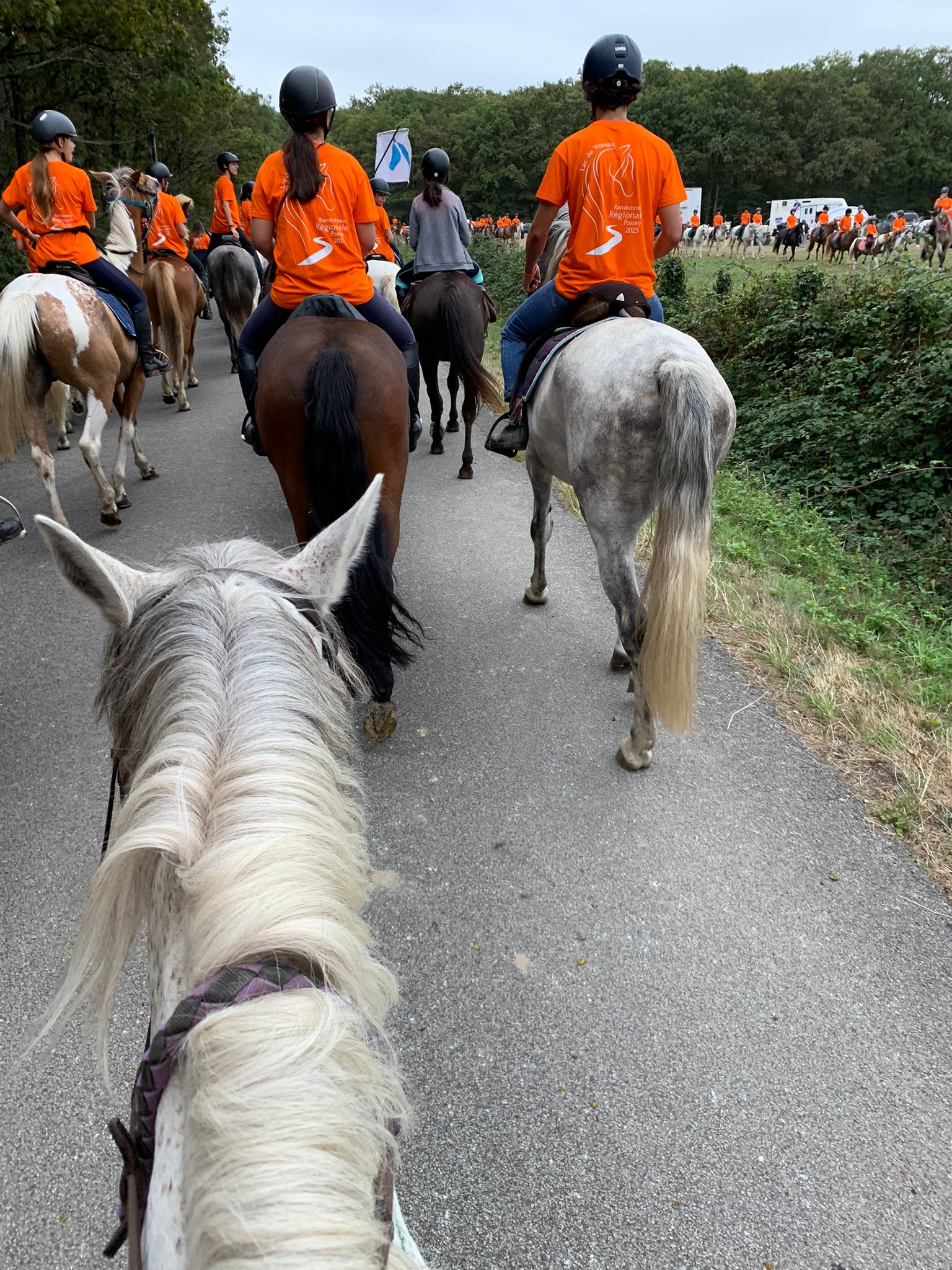 randonnée régionale la vaillantière