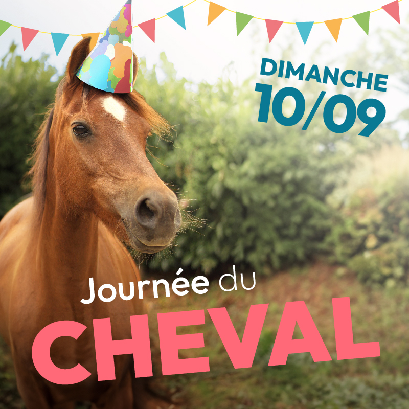 journée du cheval nantes