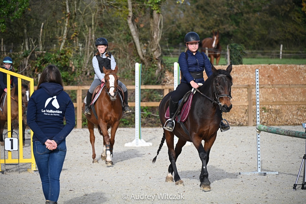 compétition saut obstacles nantes équitation