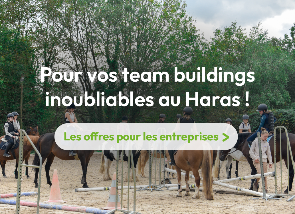 team buildings centre équestre