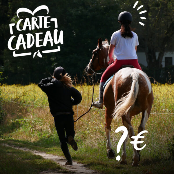 carte cadeau équitation nantes