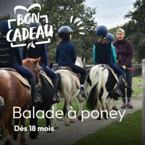 bon cadeau balade à poney équitation nantes la vaillantière