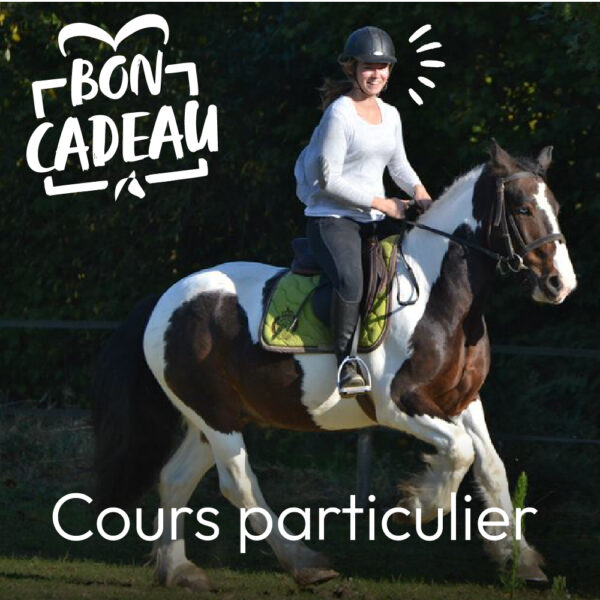 bon cadeau cours particulier équitation adulte nantes la vaillantière