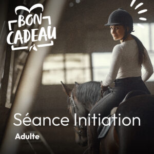 bon cadeau initiation équitation adulte nantes la vaillantière