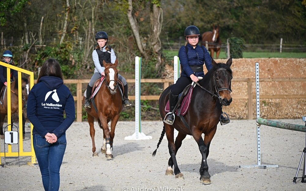 Débuter l'équitation à nantes