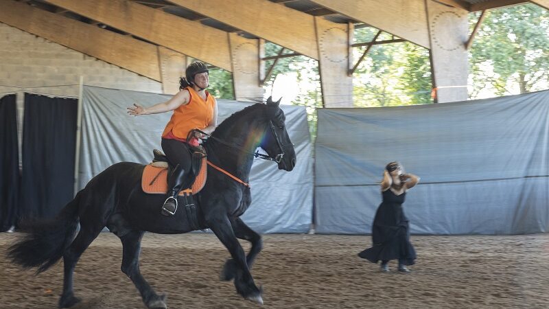 spectacle équestre nantes équitation