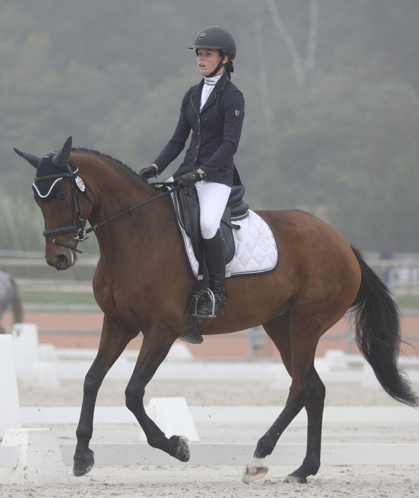 dressage à nantes