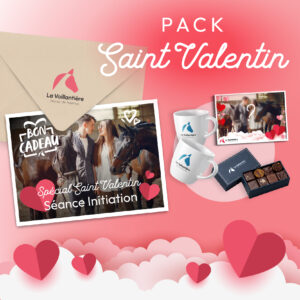 cadeau saint valentin équitation
