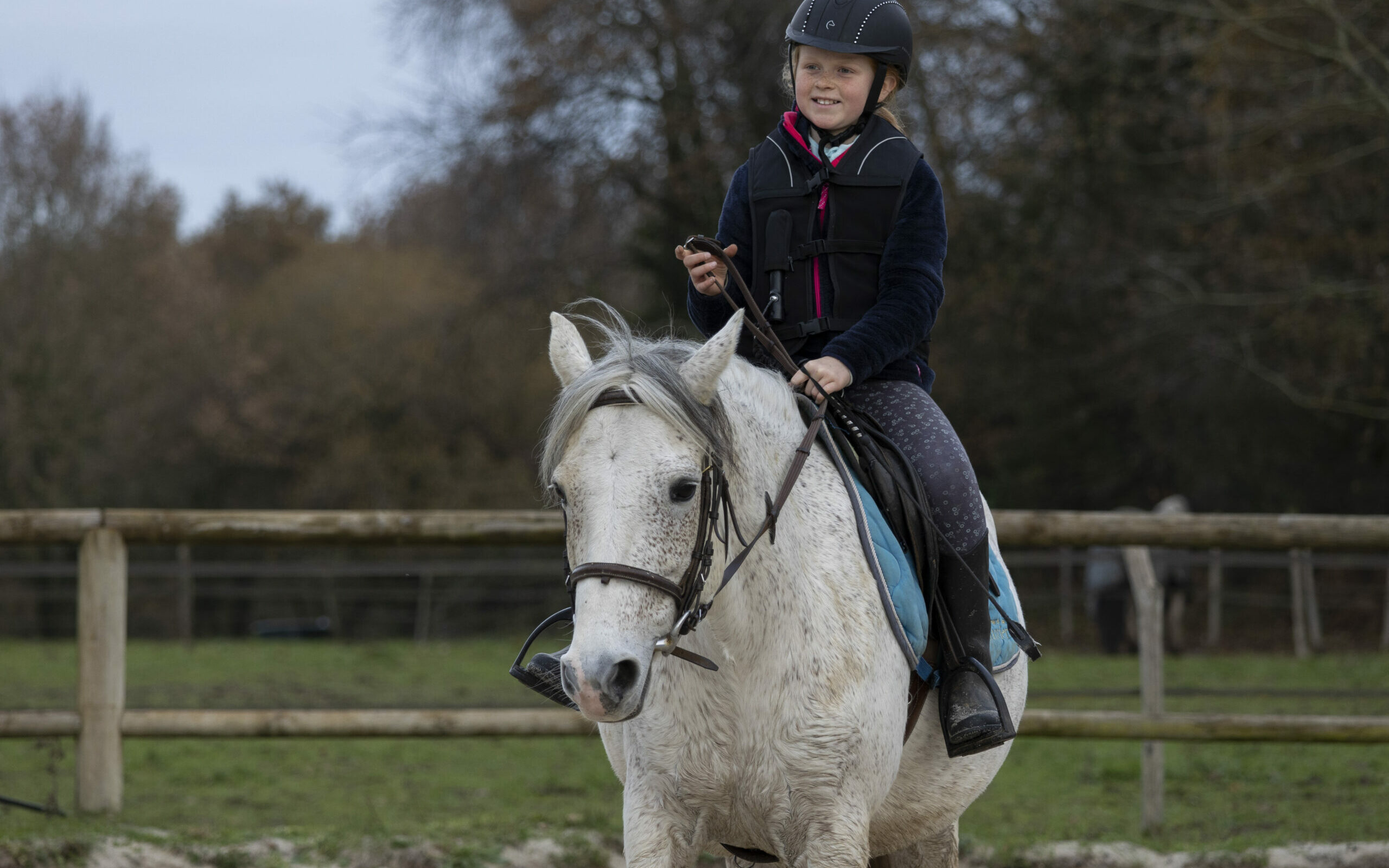 Débuter l'équitation à nantes