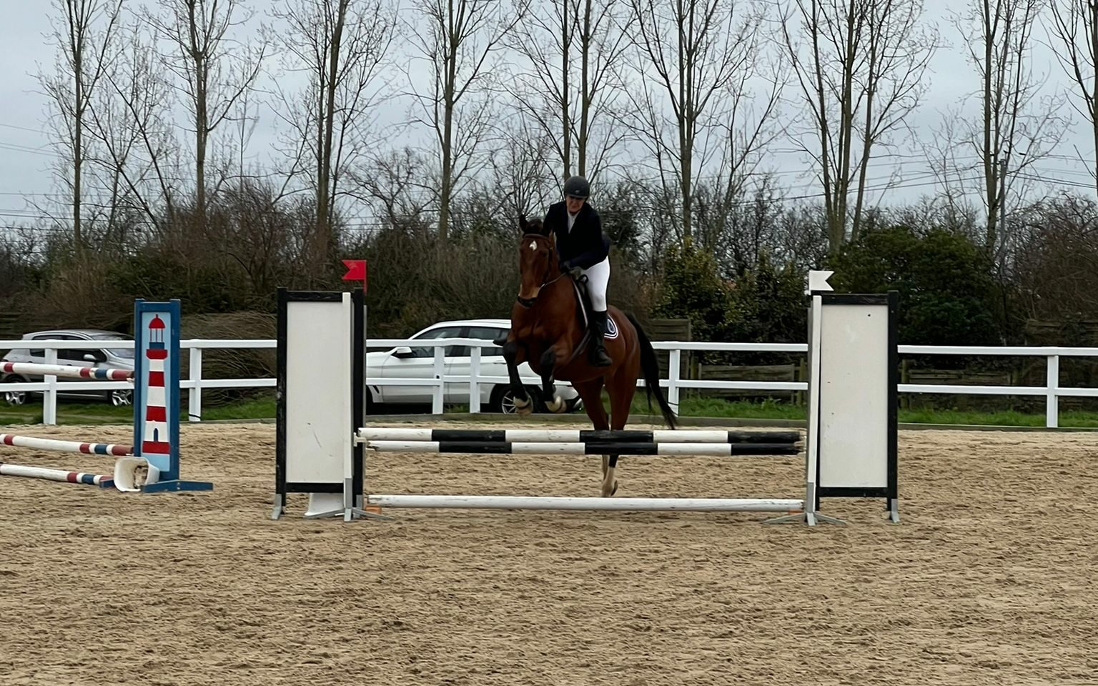 concours équitation nantes