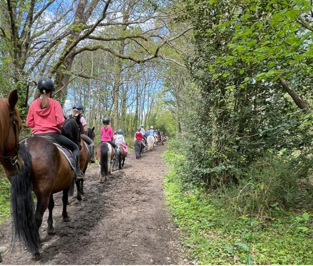 balade à poney à nantes