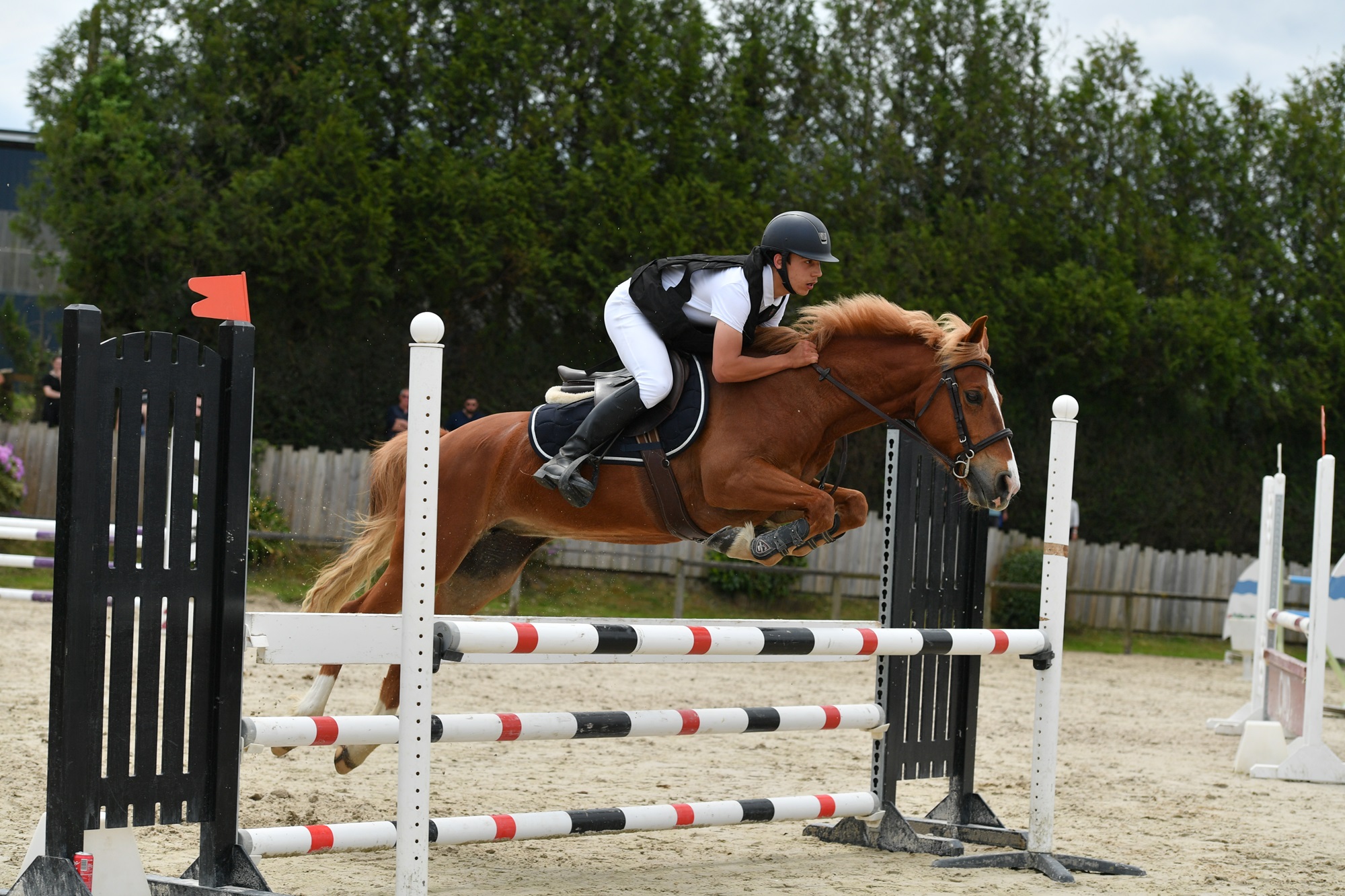 équitation nantes