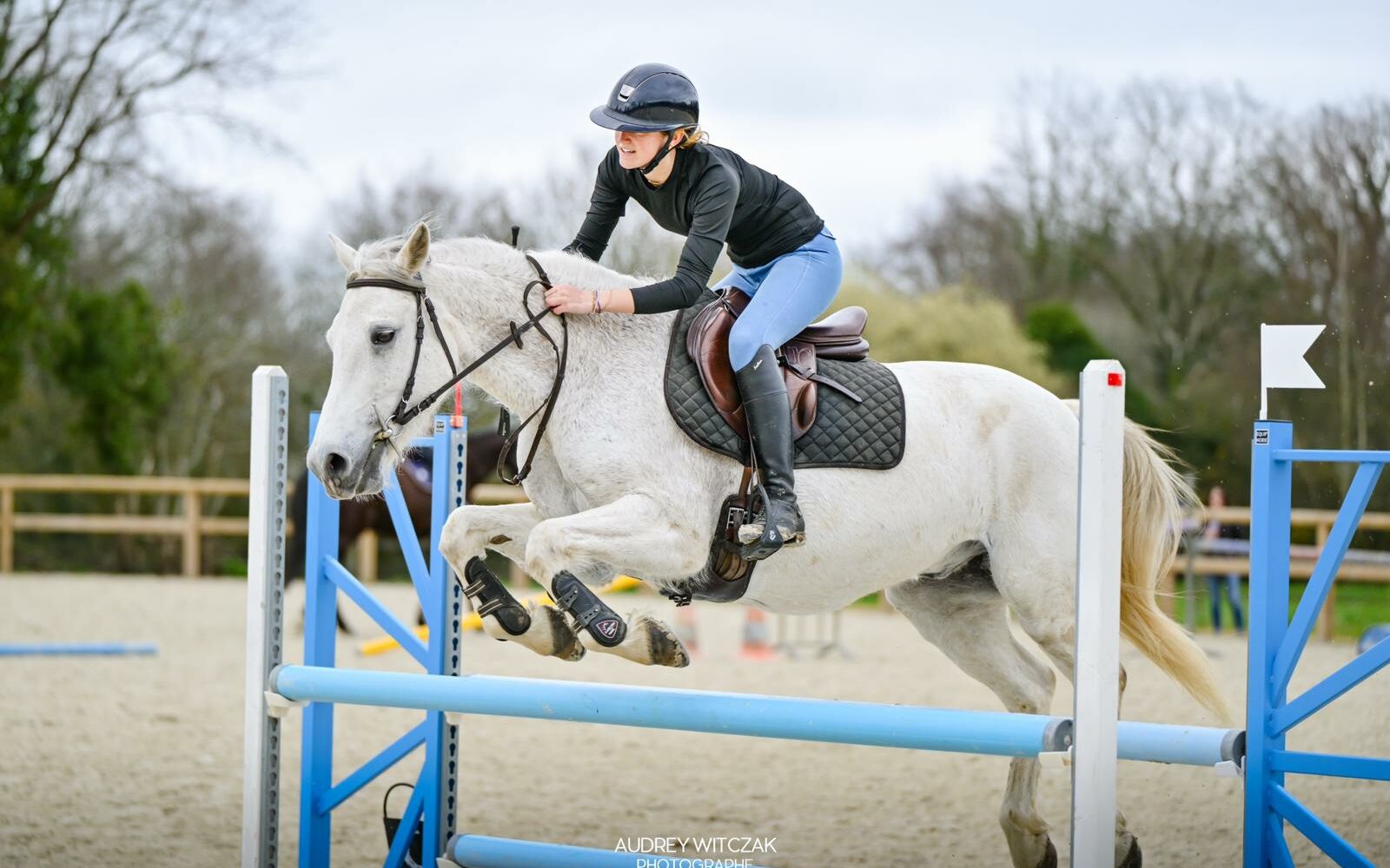 compétition équitation nantes