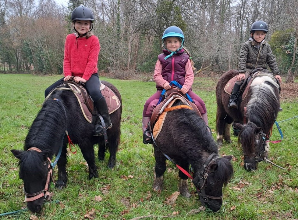 Quel budget pour faire de l'équitation ?