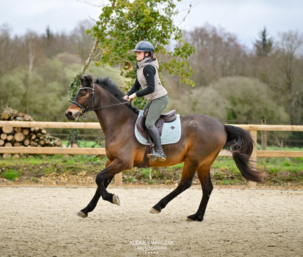 Quel budget pour faire de l'équitation