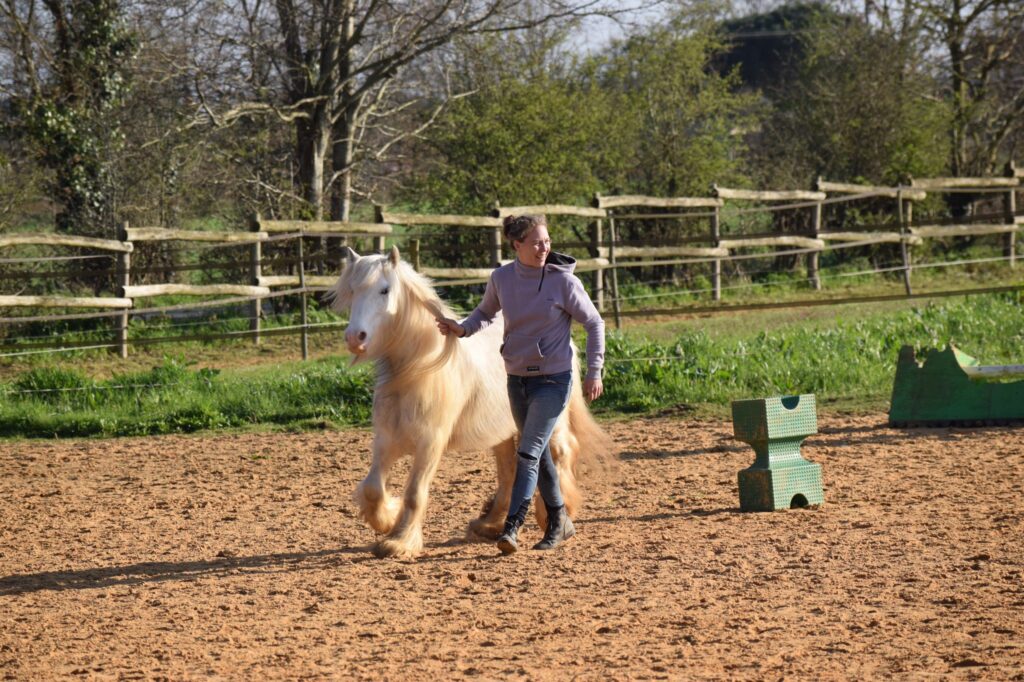 travail à pied équitation nantes