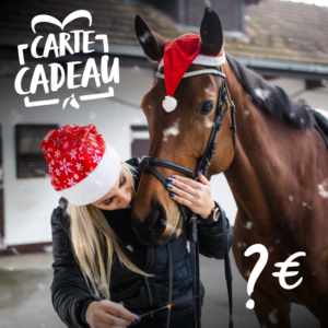 idée cadeau équitation nantes noël