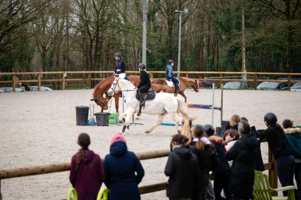 équitation nantes cso