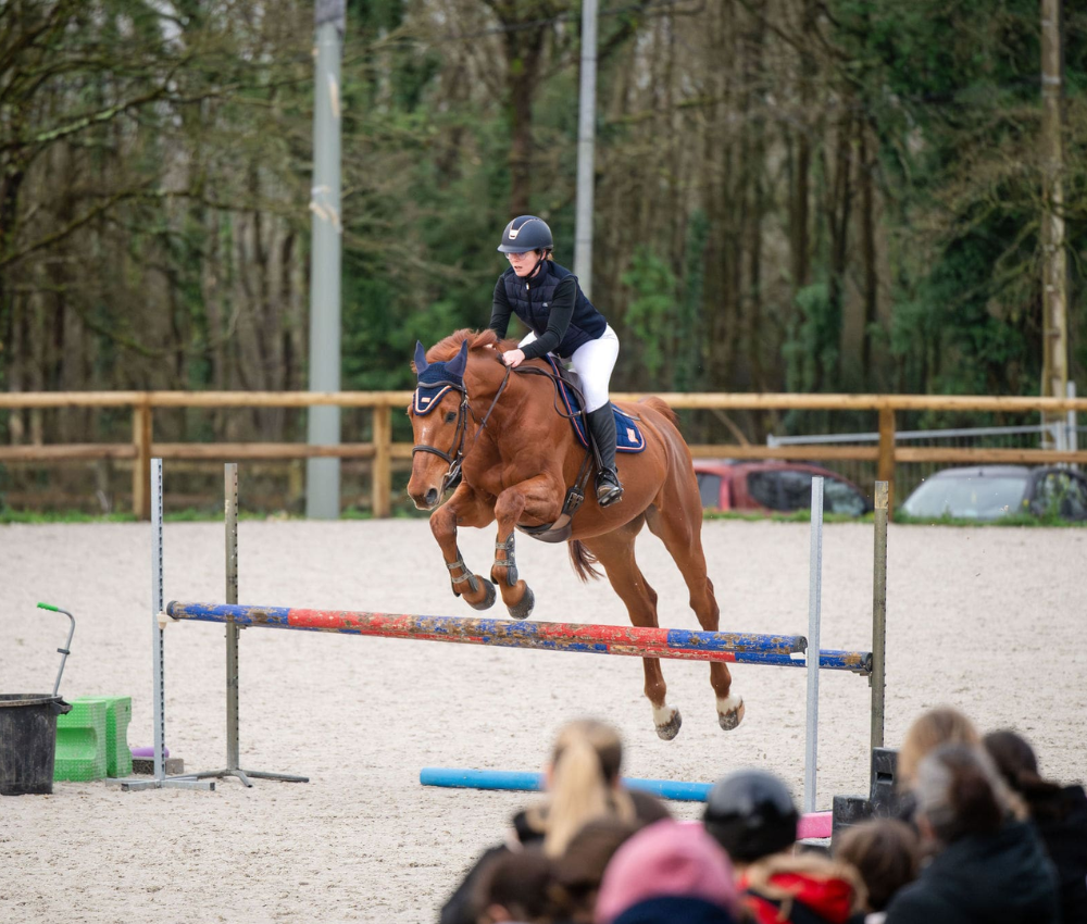 équitation nantes cso