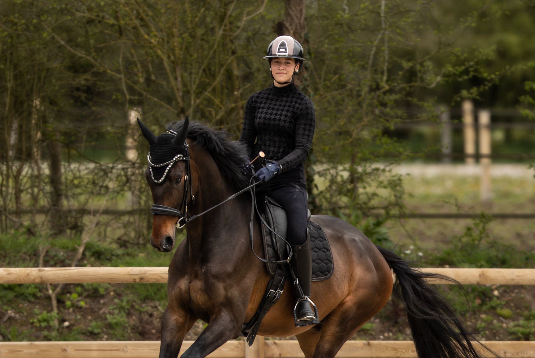 stage dressage nantes