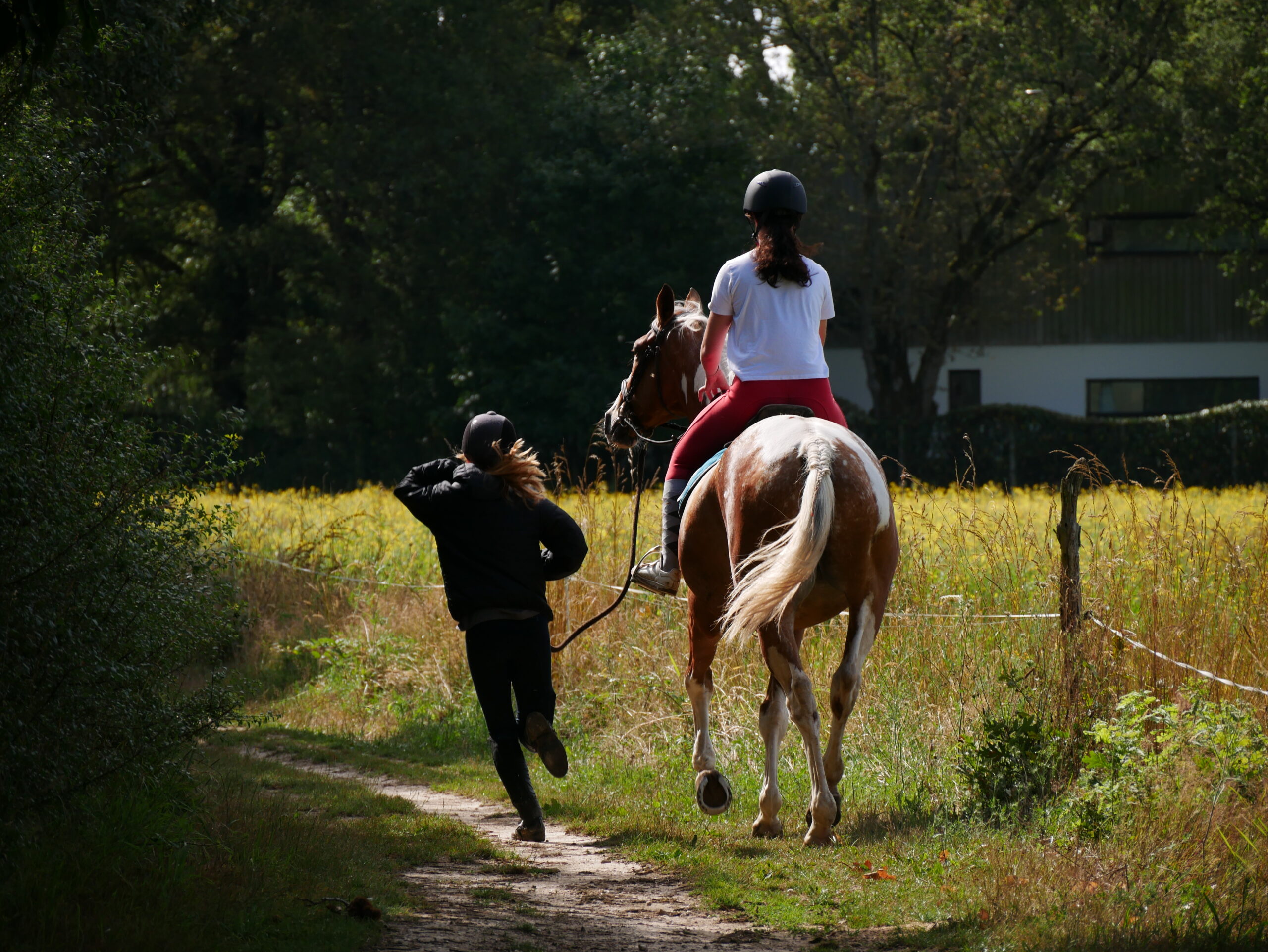 ride & run équitation