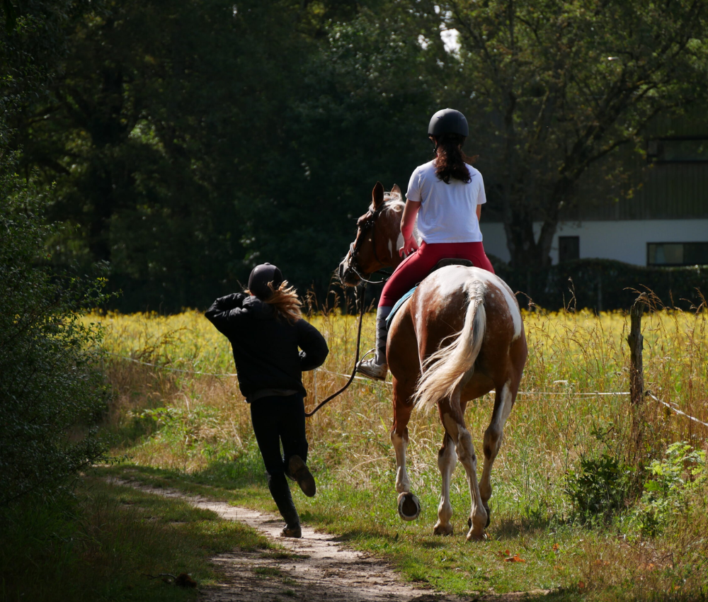 ride & run équitation