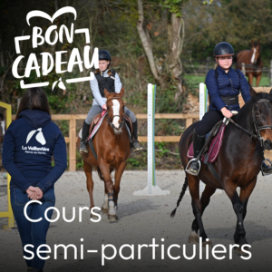 bon cadeau cours particulier équitation nantes la vaillantière