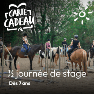 Carte cadeau 1/2 journée de stage