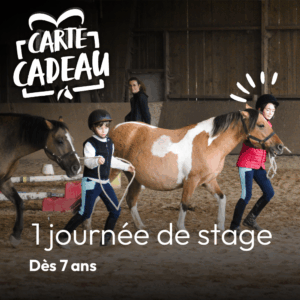 Carte cadeau 1 journée de stage