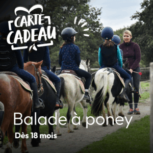 Carte cadeau balade à poney (dès 18 mois)