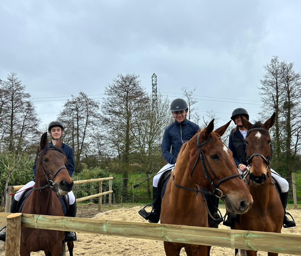 concours équitation nantes