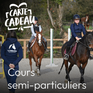 Carte cadeau cours semi-particulier