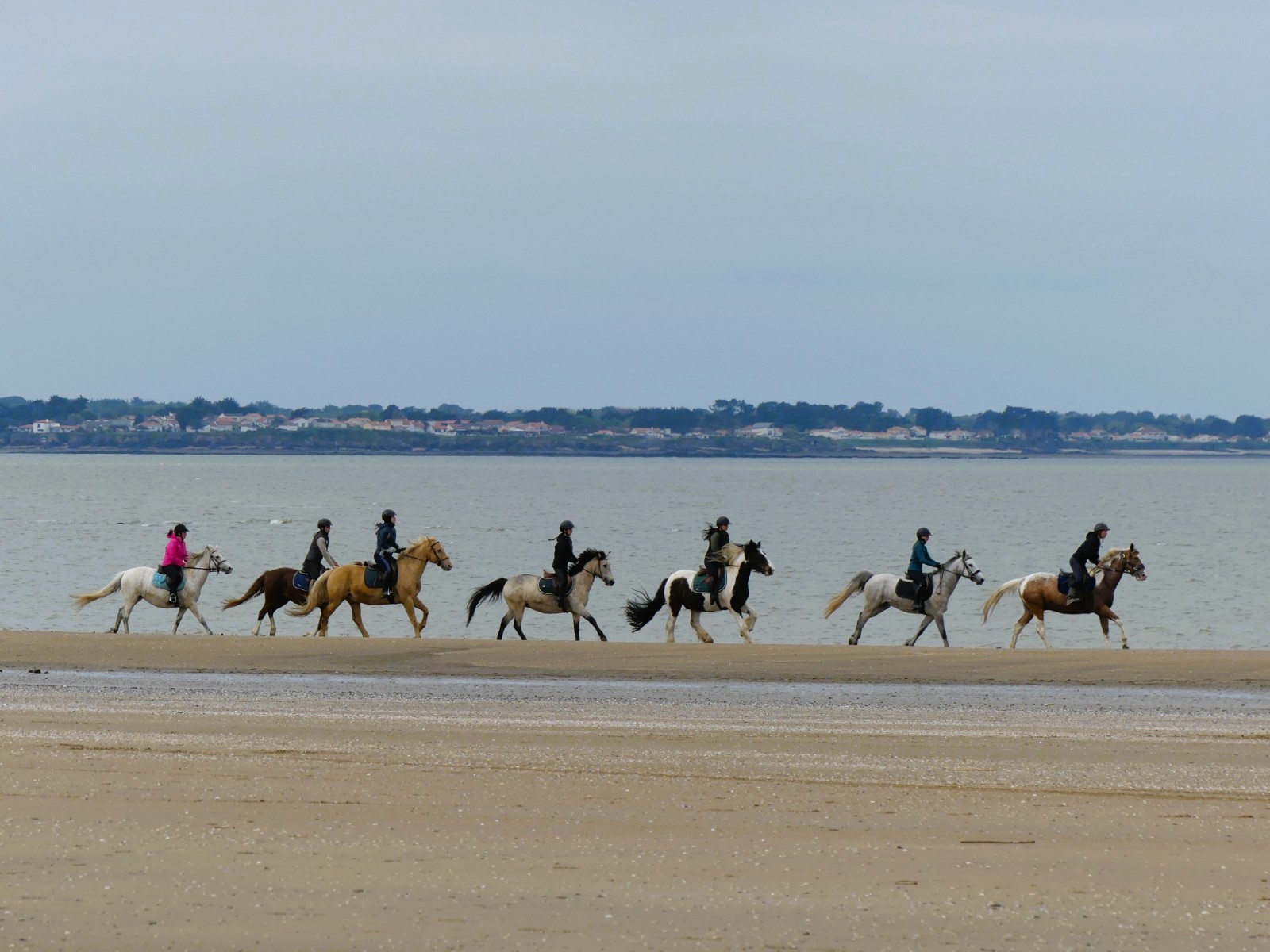 équitation plage