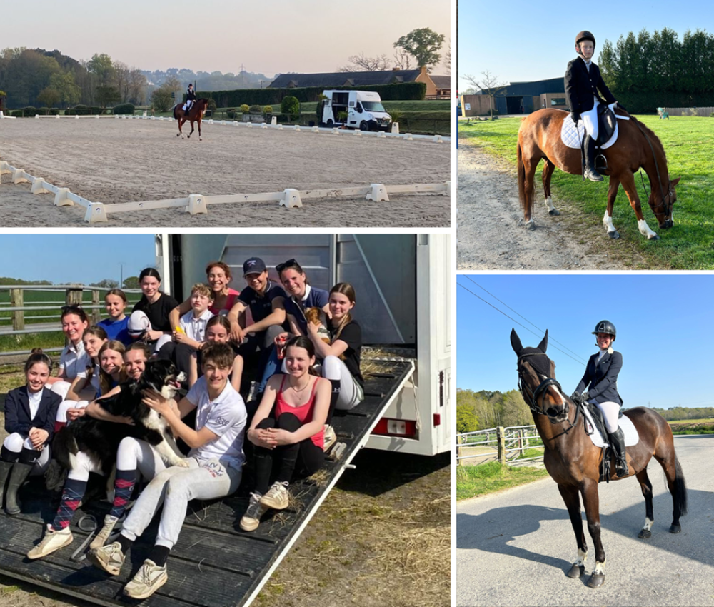 concours équitation dressage