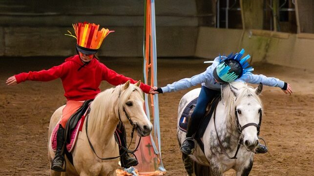 spectacle équestre