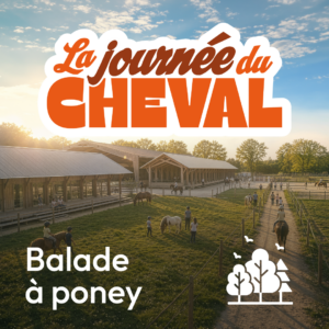 Balade à poney - Journée du cheval 13/09/2026