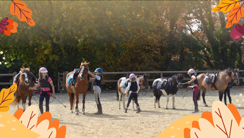 bannière stage toussaint 20252