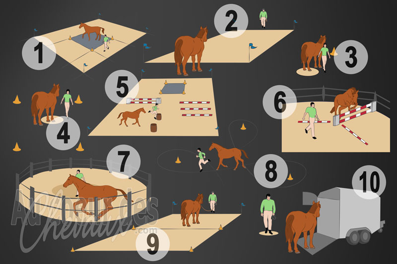 17617457052677155174412062170203