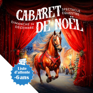 Cabaret de Noël (enfant de moins de 6 ans) LISTE D'ATTENTE