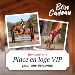 Bon cadeau : 1 place en loge VIP