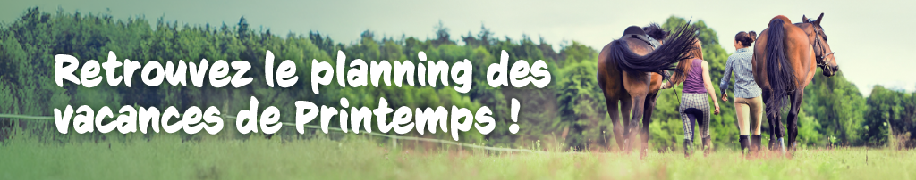 Bannière page web Printemps